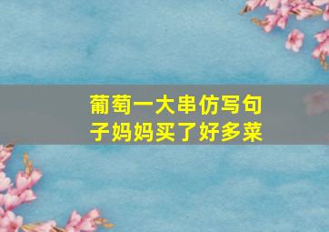 葡萄一大串仿写句子妈妈买了好多菜