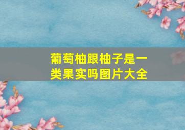 葡萄柚跟柚子是一类果实吗图片大全