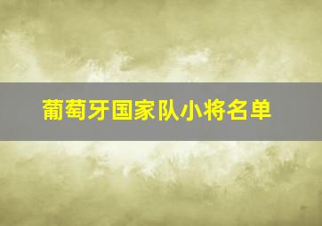 葡萄牙国家队小将名单