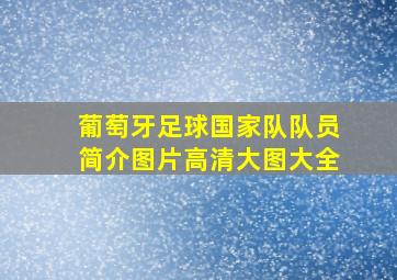 葡萄牙足球国家队队员简介图片高清大图大全