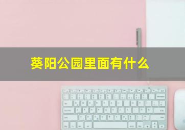 葵阳公园里面有什么