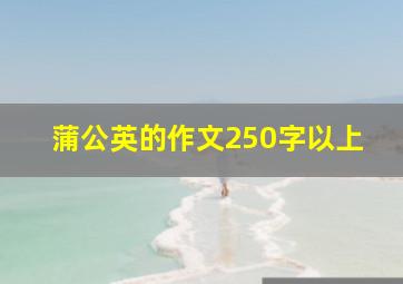 蒲公英的作文250字以上