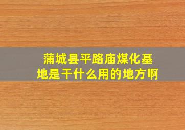 蒲城县平路庙煤化基地是干什么用的地方啊