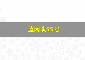 蓝网队55号