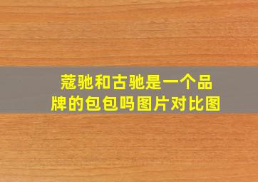 蔻驰和古驰是一个品牌的包包吗图片对比图