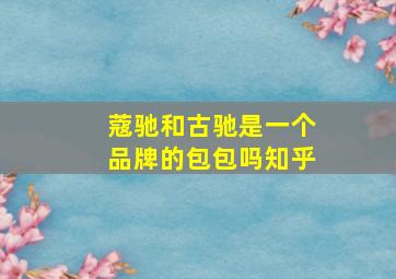 蔻驰和古驰是一个品牌的包包吗知乎