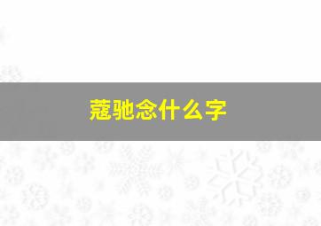 蔻驰念什么字