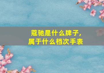 蔻驰是什么牌子,属于什么档次手表