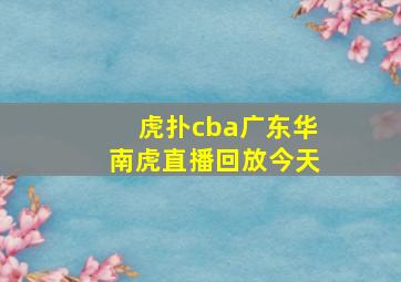 虎扑cba广东华南虎直播回放今天