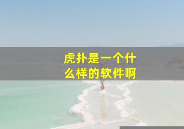 虎扑是一个什么样的软件啊