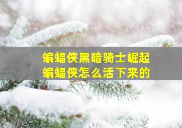 蝙蝠侠黑暗骑士崛起蝙蝠侠怎么活下来的