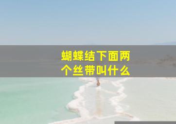 蝴蝶结下面两个丝带叫什么