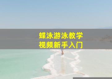 蝶泳游泳教学视频新手入门