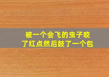 被一个会飞的虫子咬了红点然后鼓了一个包