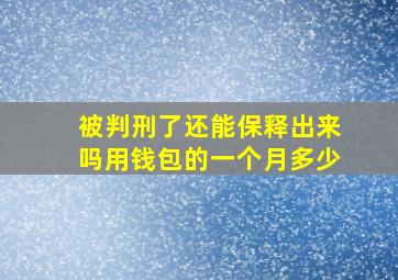 被判刑了还能保释出来吗用钱包的一个月多少