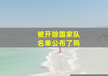 被开除国家队名单公布了吗