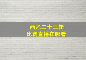 西乙二十三轮比赛直播在哪看