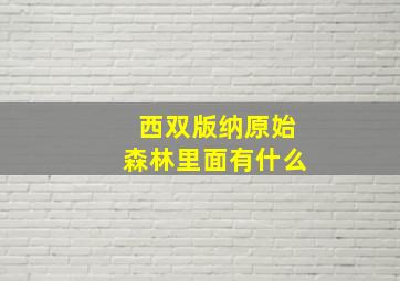 西双版纳原始森林里面有什么