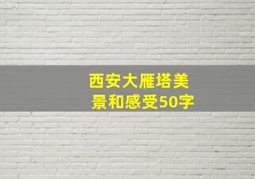 西安大雁塔美景和感受50字