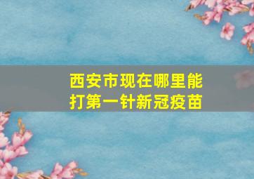 西安市现在哪里能打第一针新冠疫苗