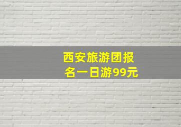 西安旅游团报名一日游99元