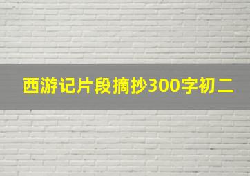 西游记片段摘抄300字初二