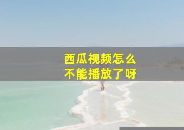 西瓜视频怎么不能播放了呀