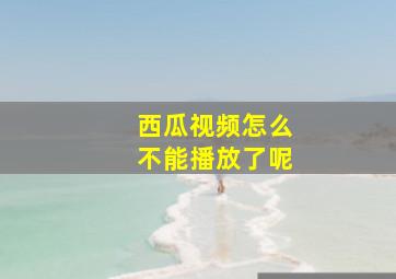 西瓜视频怎么不能播放了呢