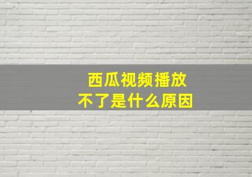 西瓜视频播放不了是什么原因