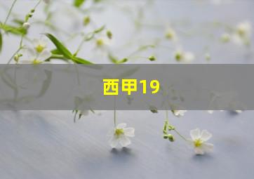 西甲19