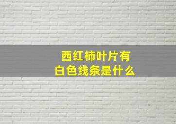 西红柿叶片有白色线条是什么