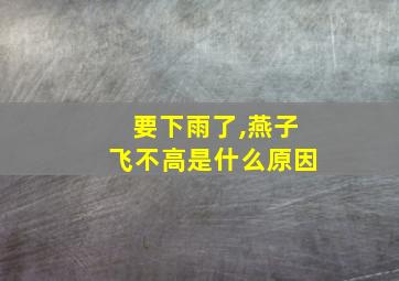 要下雨了,燕子飞不高是什么原因