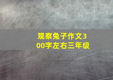 观察兔子作文300字左右三年级