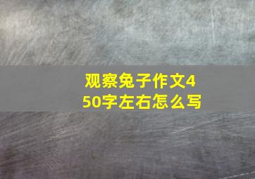 观察兔子作文450字左右怎么写