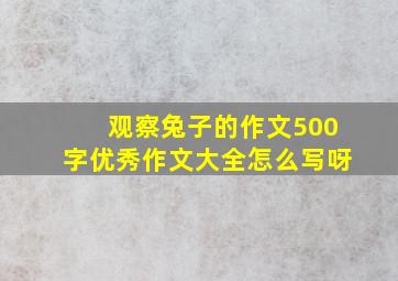 观察兔子的作文500字优秀作文大全怎么写呀