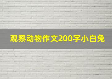 观察动物作文200字小白兔