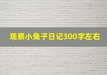 观察小兔子日记300字左右