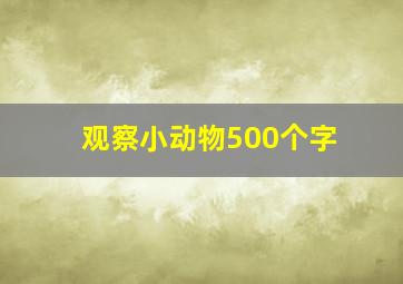 观察小动物500个字