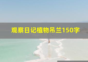 观察日记植物吊兰150字