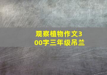 观察植物作文300字三年级吊兰