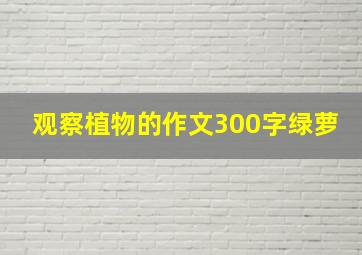 观察植物的作文300字绿萝