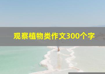 观察植物类作文300个字