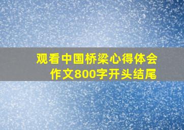 观看中国桥梁心得体会作文800字开头结尾