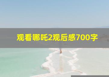 观看哪吒2观后感700字