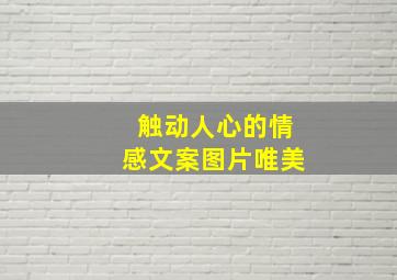 触动人心的情感文案图片唯美