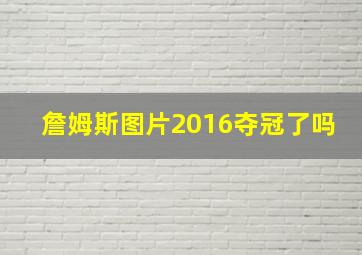 詹姆斯图片2016夺冠了吗