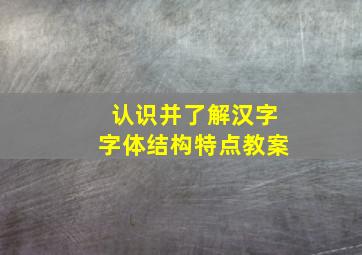 认识并了解汉字字体结构特点教案