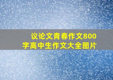 议论文青春作文800字高中生作文大全图片