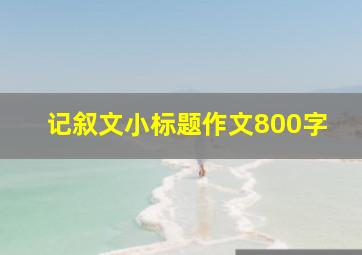 记叙文小标题作文800字