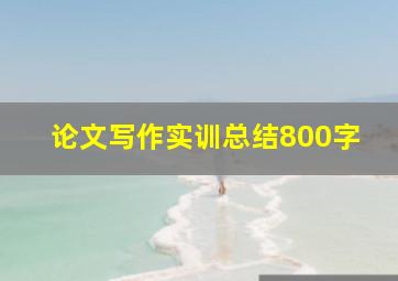 论文写作实训总结800字